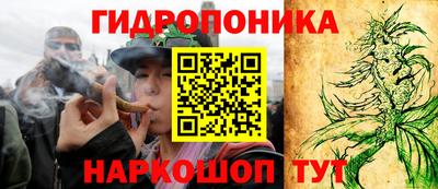 apvp Краснознаменск
