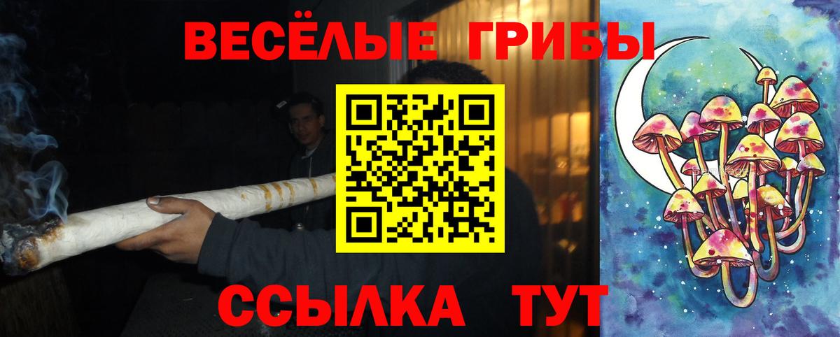 Псилоцибиновые грибы GOLDEN TEACHER  Вход с VPN  Карачаевск 
